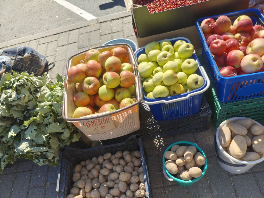 11 сентября 2025 года. Могилев. Минский рынок.