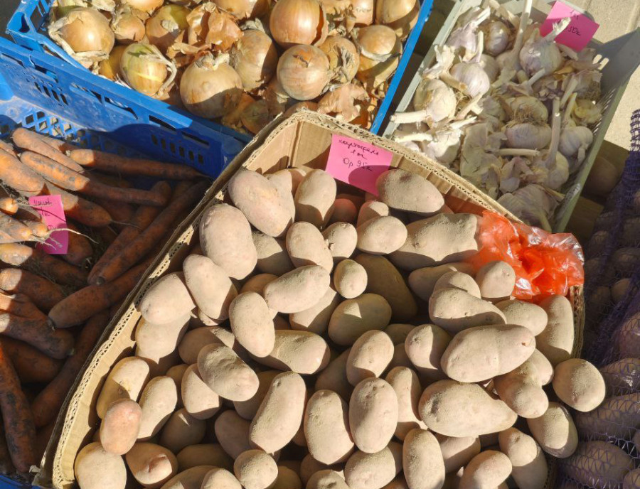 11 сентября 2025 года. Могилев. Картошка.