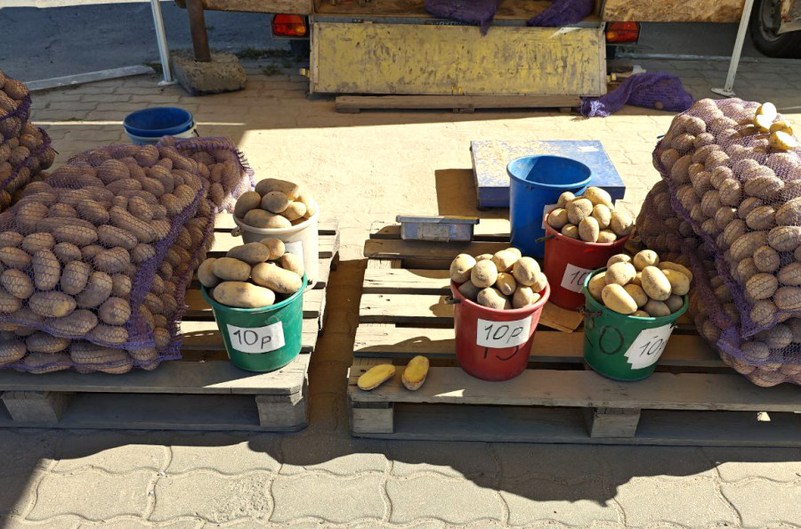 11 сентября 2025 года. Могилев. Гребеневский рынок.