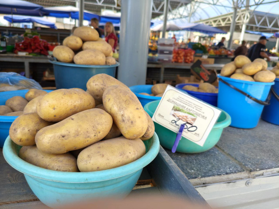 11 сентября 2025 года. Могилев. Минский рынок. 