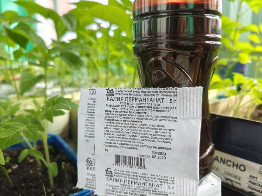 Зачем нужна марганцовка на огороде? Рассказываем