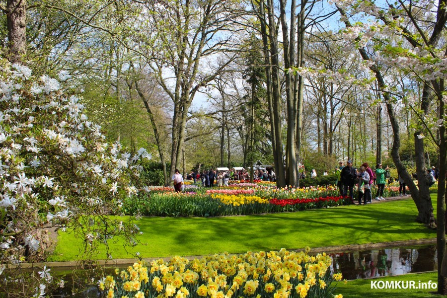 2018 год. Парк Кёкенхоф. Нидерланды.