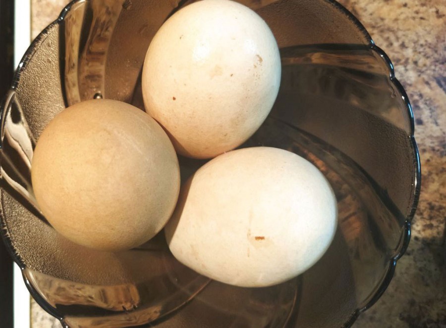 Май 2024 года. Про личный опыт окрашивания пасхальных яиц натуральными продуктами