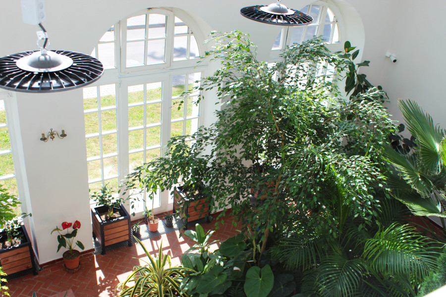 31 августа 2025 года. Дворцово-парковый комплекс Булгаков в Жиличах. Кировский район Могилевской области. Оранжерея.