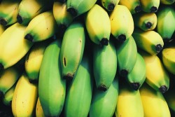 Какие бананы помогут похудеть: зеленые или желтые? Однозначный ответ