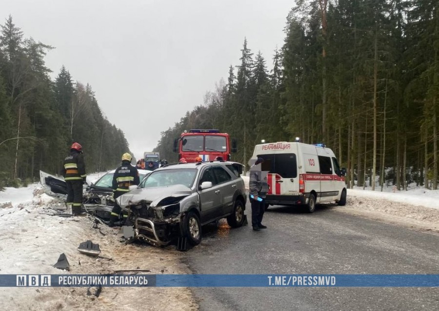 В Витебской области в лобовой аварии погибли два человека