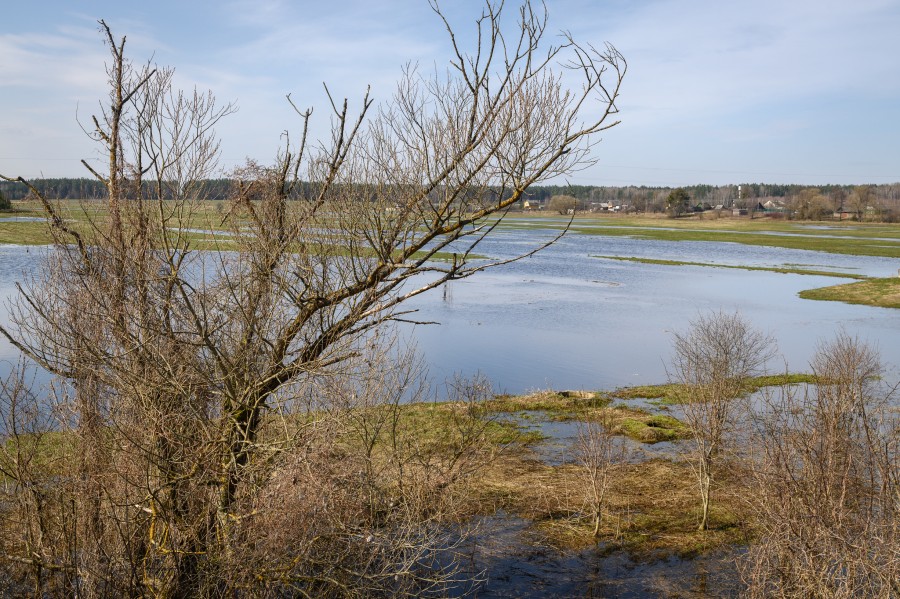 Белгидромет: на большинстве рек вода находится на пойме