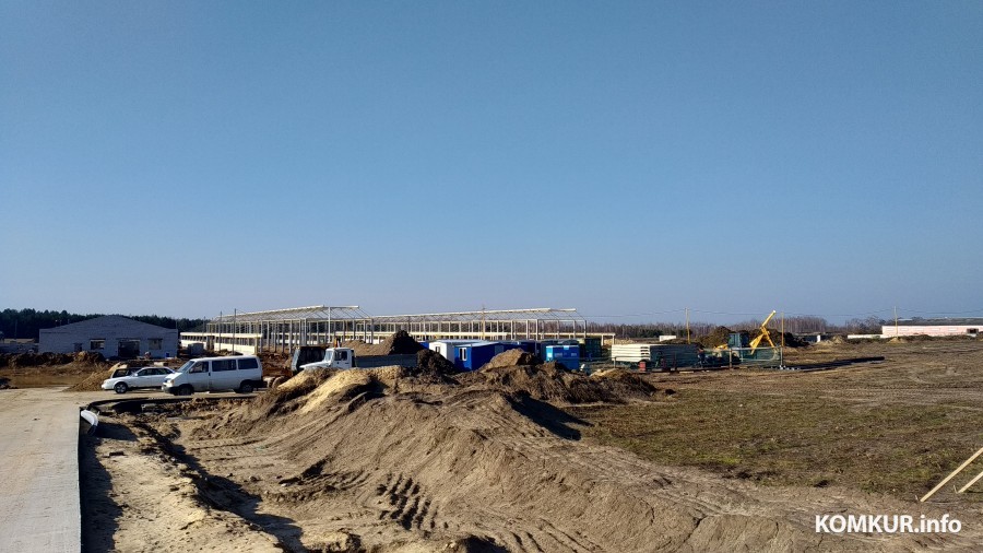 В Бобруйском районе строят крупную молочную ферму