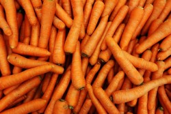 Исследования показали, что употребление моркови  снижает риск развития любого рака на 10–20 %