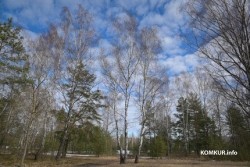 Ограничения на посещение лесов введены в 23 районах Беларуси, в том числе в Бобруйском