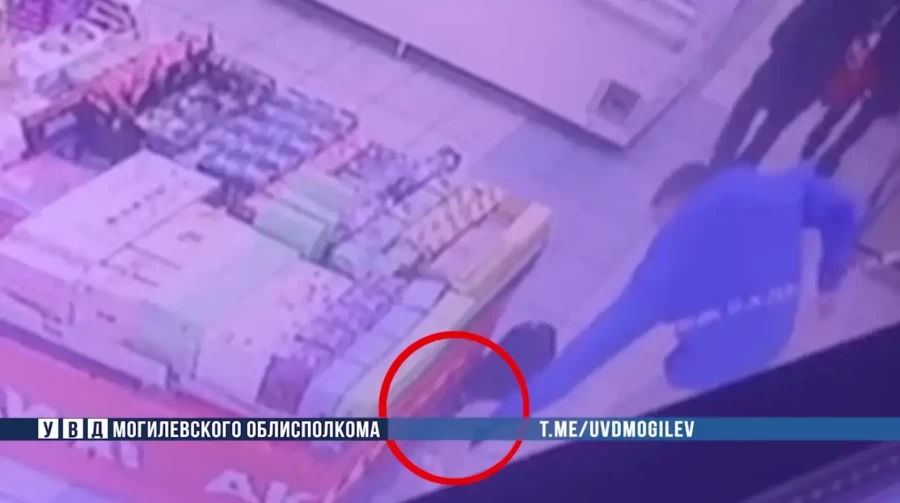 Могилевчане прибрали к рукам оставленную в магазине чужую сумку. «Добыча» потянула на 22 тысячи рублей
