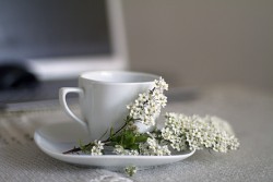 Чем отмыть чашки от чайного и кофейного налета: этот метод вы еще не пробовали