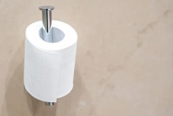 Почему опытные хозяйки хранят туалетную бумагу в холодильнике: неожиданная польза