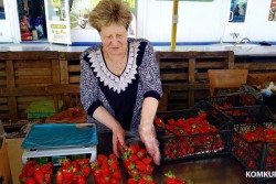 «Сезон большой клубники» на рынке Бобруйска: почем продают главную ягоду начала лета?