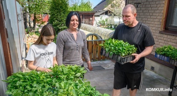 30.04.2024. Бобруйск. Раиса и Андрей Наумовы выращивают рассаду овощей. Им помогает дочь Кира.