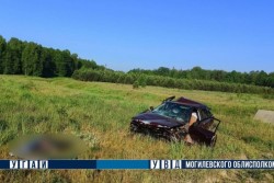 На границе Осиповичского и Бобруйского районов BMW «догнал» попутную Audi. Ее водитель погиб