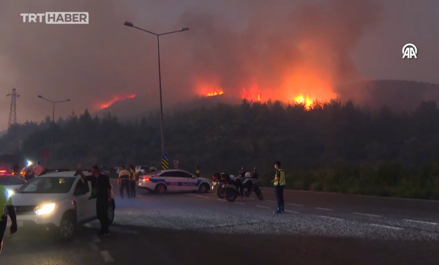 Масштабные лесные пожары охватили три провинции Турции