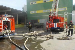 На Бобруйском заводе растительных масел произошел пожар (добавлено видео)