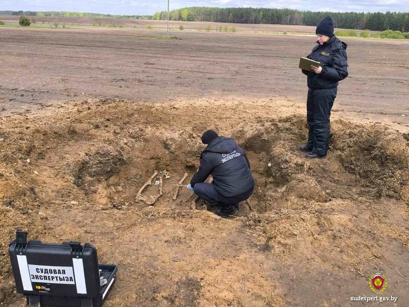 Фото Государственного комитета судебных экспертиз