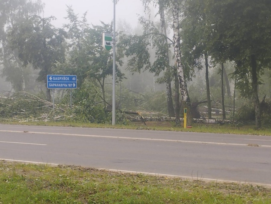 Электроснабжение пострадавших от непогоды населенных пунктов Могилевской области восстановлено