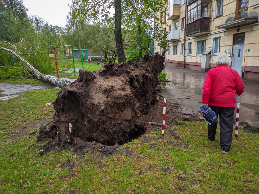 Белорусский синоптик не исключил ураганы и аномальную жару до конца лета