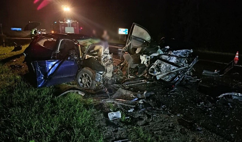 Фото: УГКСЭ по Могилевской области.