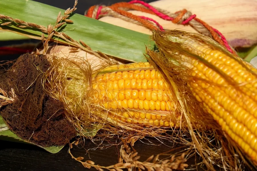 Как почистить кукурузу: лайфхак, после которого на ней не останется ни одной «волосинки»