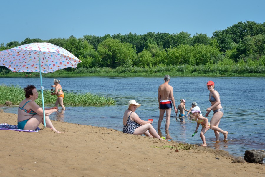Климат изменится в Беларуси: в Витебской области будет как на Полесье