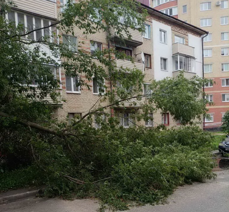 Соцслужбы Беларуси оказали помощь пострадавшим от стихийных бедствий на сумму более 60 тысяч рублей