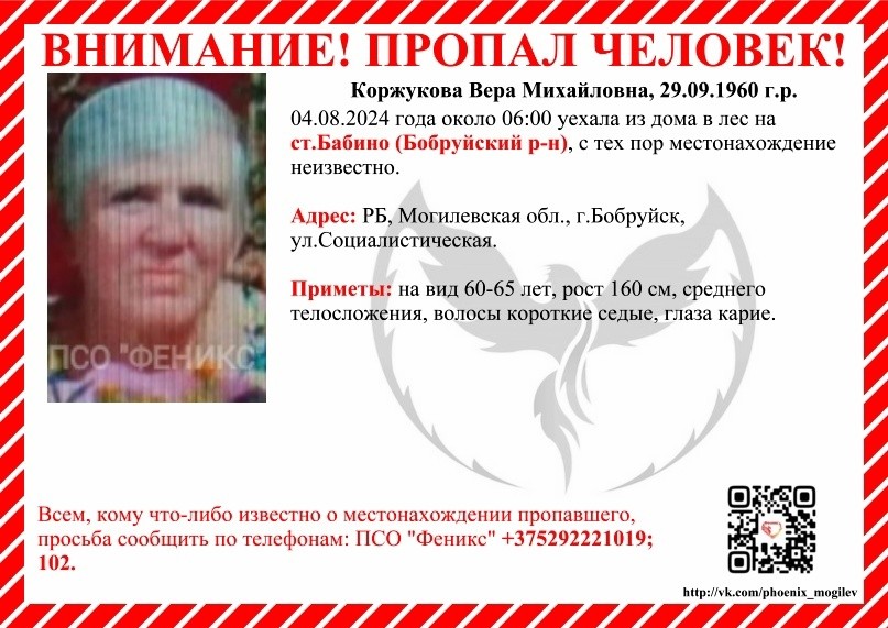 В пригороде Бобруйска пропала пенсионерка
