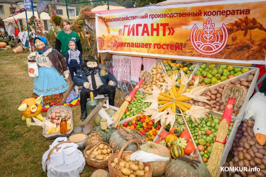 27.09.2024. Агрогородок Ленина. Районный фестиваль-ярмарка тружеников села «Дожинки-2024».