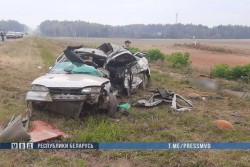 В Рогачевском районе пожилой водитель не уступил дорогу фуре: двое погибших