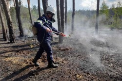 Леса открыты вновь. Работники Бобруйского лесхоза рассказали, сколько поймали нарушителей и потушили пожаров