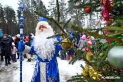 «Самодеятельных» Дедов Морозов больше не будет: внесены изменения в перечень работ для ИП