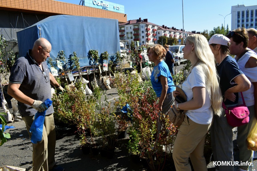 21.9.2024, Бобруйск. Ярмарка «Золотая осень»