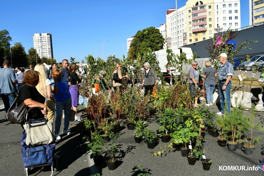 21.9.2024, Бобруйск. Ярмарка «Золотая осень»