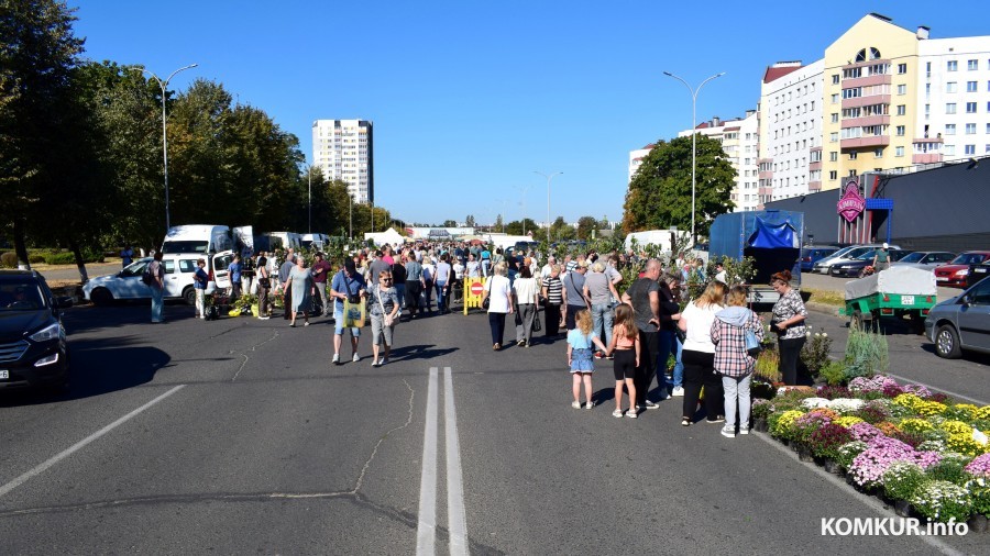 21.9.2024, Бобруйск. Ярмарка «Золотая осень»