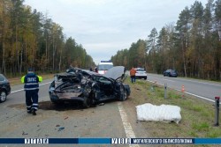 В Осиповичском районе в стоящую машину влетел микроавтобус. Погибла женщина (дополнено)