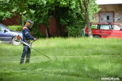 Житель Бобруйска добился компенсации за поврежденный автомобиль