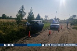 ГАИ Бобруйска ищет очевидцев ДТП в переулке Дунаевского