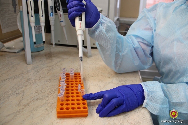 Алименты платить все-таки придется: мужчина живет в другой стране, но это не помешало провести генетическую экспертизу 