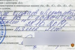 Могилевчанин исправил в медсправке одну цифру и «заработал» уголовное дело