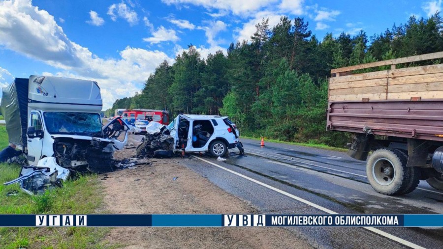 20.04.2024 г. Чаусский район. Фото: УГАИ УВД облисполкома