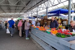 Готовим баклажановую икру: отправились на Центральный рынок Могилева, приценились, закупились, подсчитали стоимость баночки домашнего продукта