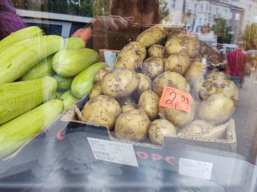 13.06.2024 г. Могилев, Центральный (Минский) рынок