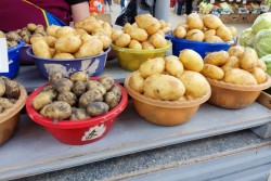 Что почем в Могилеве? На мини-рынке дешевле и можно поторговаться: закупились молодым картофелем и овощами на салат