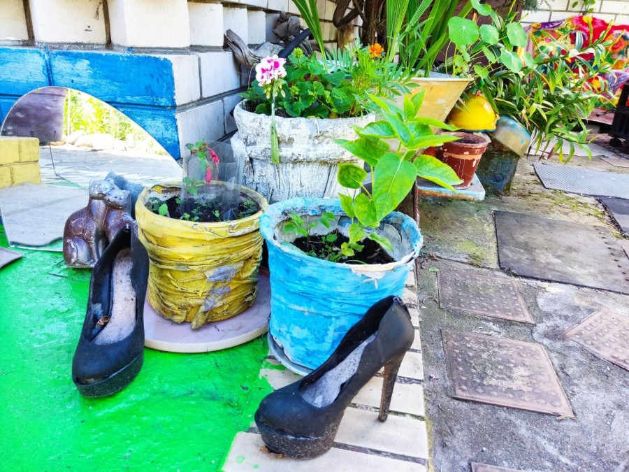 7.07.2024 г. Могилев. Даже выброшенные кем-то старые туфли Тамара превратила в элемент декора для своего сада.