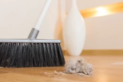 5 предметов в каждом доме, на которых бактерий больше, чем под ободком унитаза: не забудьте уделить им внимание во время уборки