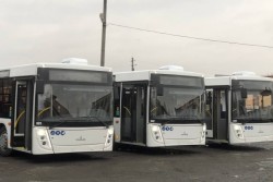 В День Независимости к праздничному салюту в Бобруйске организованы дополнительные рейсы автобусов и троллейбусов