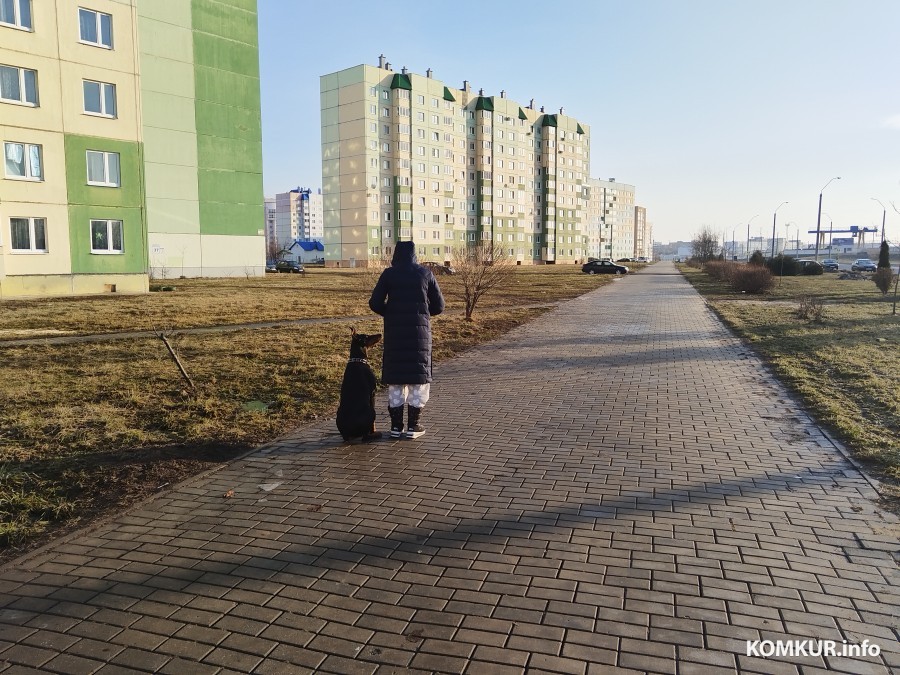 В Беларуси введут запрет на посещение магазинов с животными – закон